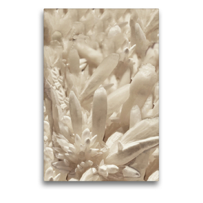 Premium Textil-Leinwand 50 x 75 cm Hoch-Format Milchquarz | Wandbild, HD-Bild auf Keilrahmen, Fertigbild auf hochwertigem Vlies, Leinwanddruck von Reinhard Sock