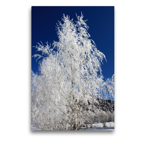 Premium Textil-Leinwand 50 x 75 cm Hoch-Format Schöne Bäume in Hochformat | Wandbild, HD-Bild auf Keilrahmen, Fertigbild auf hochwertigem Vlies, Leinwanddruck von Christa Kramer