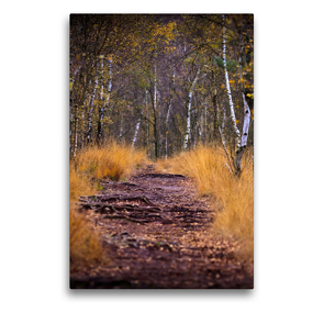 Premium Textil-Leinwand 50 x 75 cm Hoch-Format Wege im Moor | Wandbild, HD-Bild auf Keilrahmen, Fertigbild auf hochwertigem Vlies, Leinwanddruck von Gero von Kitzing