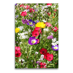 Premium Textil-Leinwand 60 x 90 cm Hoch-Format Bunte Blumenwiese | Wandbild, HD-Bild auf Keilrahmen, Fertigbild auf hochwertigem Vlies, Leinwanddruck von Gisela Kruse