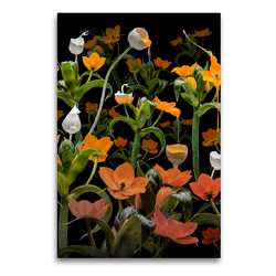 Premium Textil-Leinwand 60 x 90 cm Hoch-Format Caltha palustris | Wandbild, HD-Bild auf Keilrahmen, Fertigbild auf hochwertigem Vlies, Leinwanddruck von Olaf Bruhn