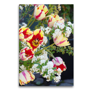 Premium Textil-Leinwand 60 x 90 cm Hoch-Format Ein Strauß Rembrandt-Tulpen mit Spierstrauch | Wandbild, HD-Bild auf Keilrahmen, Fertigbild auf hochwertigem Vlies, Leinwanddruck von Gisela Kruse