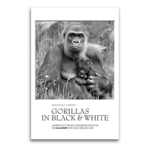 Premium Textil-Leinwand 60 x 90 cm Hoch-Format Emotionale Momente: Gorillas in black & white / CH-Version | Wandbild, HD-Bild auf Keilrahmen, Fertigbild auf hochwertigem Vlies, Leinwanddruck von Ingo Gerlach GDT