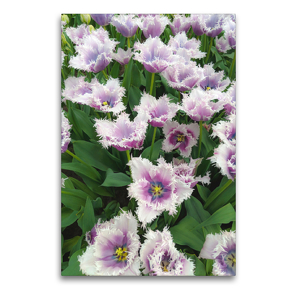 Premium Textil-Leinwand 60 x 90 cm Hoch-Format Gefranste Tulpen | Wandbild, HD-Bild auf Keilrahmen, Fertigbild auf hochwertigem Vlies, Leinwanddruck von Eugeniya Kareva