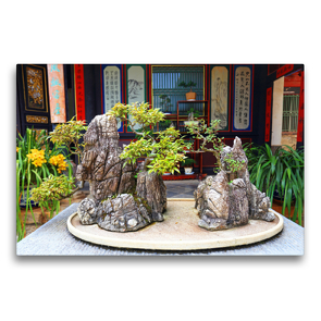 Premium Textil-Leinwand 75 x 50 cm Quer-Format Bonsai – alte chinesische Gartenkunst | Wandbild, HD-Bild auf Keilrahmen, Fertigbild auf hochwertigem Vlies, Leinwanddruck von Thomas Böhm