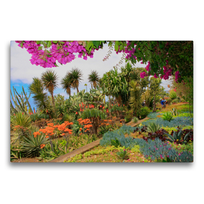 Premium Textil-Leinwand 75 x 50 cm Quer-Format Botanischer Garten Kakteen | Wandbild, HD-Bild auf Keilrahmen, Fertigbild auf hochwertigem Vlies, Leinwanddruck von Klaus Lielischkies