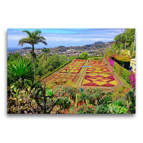 Premium Textil-Leinwand 75 x 50 cm Quer-Format Botanischer Garten | Wandbild, HD-Bild auf Keilrahmen, Fertigbild auf hochwertigem Vlies, Leinwanddruck von Klaus Lielischkies