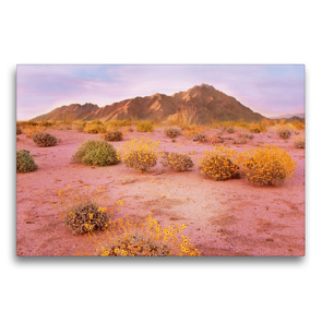 Premium Textil-Leinwand 75 x 50 cm Quer-Format Bunte Wildpflanzen vor imposanten Bergen am Rande der Sonora Wüste bei Sonnenuntergang | Wandbild, HD-Bild auf Keilrahmen, Fertigbild auf hochwertigem Vlies, Leinwanddruck von CALVENDO