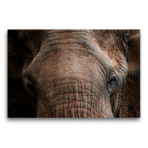 Premium Textil-Leinwand 75 x 50 cm Quer-Format Der rote afrikanische Elefant. | Wandbild, HD-Bild auf Keilrahmen, Fertigbild auf hochwertigem Vlies, Leinwanddruck von Ingo Gerlach