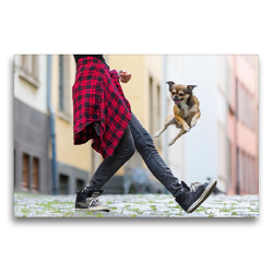 Premium Textil-Leinwand 75 x 50 cm Quer-Format Dogdancing in der Stadt | Wandbild, HD-Bild auf Keilrahmen, Fertigbild auf hochwertigem Vlies, Leinwanddruck von Christian Müller