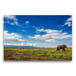 Premium Textil-Leinwand 75 x 50 cm Quer-Format Elefant in der Savanne | Wandbild, HD-Bild auf Keilrahmen, Fertigbild auf hochwertigem Vlies, Leinwanddruck von Michael Zech Fotografie