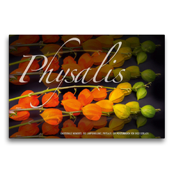 Premium Textil-Leinwand 75 x 50 cm Quer-Format Emotionale Momente: Physalis. | Wandbild, HD-Bild auf Keilrahmen, Fertigbild auf hochwertigem Vlies, Leinwanddruck von Ingo Gerlach