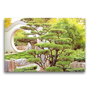 Premium Textil-Leinwand 75 x 50 cm Quer-Format Gartenkunst: Chinesischer Garten mit Gartenbonsai. | Wandbild, HD-Bild auf Keilrahmen, Fertigbild auf hochwertigem Vlies, Leinwanddruck von CALVENDO