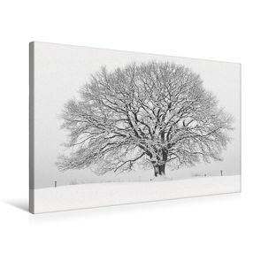 Premium Textil-Leinwand 75 x 50 cm Quer-Format Januar: Der Winter hält die Natur fest im Griff. | Wandbild, HD-Bild auf Keilrahmen, Fertigbild auf hochwertigem Vlies, Leinwanddruck von Ingo Gerlach GDT von Gerlach GDT,  Ingo