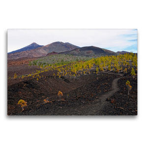 Premium Textil-Leinwand 75 x 50 cm Quer-Format Landschaft im Teide Nationalpark Teneriffa | Wandbild, HD-Bild auf Keilrahmen, Fertigbild auf hochwertigem Vlies, Leinwanddruck von Anja Frost