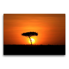 Premium Textil-Leinwand 75 x 50 cm Quer-Format Masai Mara NP | Wandbild, HD-Bild auf Keilrahmen, Fertigbild auf hochwertigem Vlies, Leinwanddruck von Michael Herzog