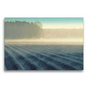 Premium Textil-Leinwand 75 x 50 cm Quer-Format Nebelmorgen über dem Spargelfeld von Tanja Riedel | Wandbild, HD-Bild auf Keilrahmen, Fertigbild auf hochwertigem Vlies, Leinwanddruck von N N