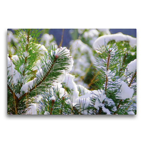 Premium Textil-Leinwand 75 x 50 cm Quer-Format Perpetual winter Dreams by Tanja Riedel | Wandbild, HD-Bild auf Keilrahmen, Fertigbild auf hochwertigem Vlies, Leinwanddruck von N N