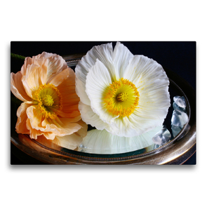 Premium Textil-Leinwand 75 x 50 cm Quer-Format Prachtvolle Mohnblüten auf altem Spiegel | Wandbild, HD-Bild auf Keilrahmen, Fertigbild auf hochwertigem Vlies, Leinwanddruck von Gisela Kruse