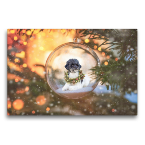 Premium Textil-Leinwand 75 x 50 cm Quer-Format Pudel Weihnachten | Wandbild, HD-Bild auf Keilrahmen, Fertigbild auf hochwertigem Vlies, Leinwanddruck von Sabine Böke-Bergau