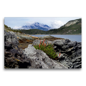 Premium Textil-Leinwand 75 x 50 cm Quer-Format Tierra del Fuego – Große Feuerlandinsel/Argentinien | Wandbild, HD-Bild auf Keilrahmen, Fertigbild auf hochwertigem Vlies, Leinwanddruck von Flori0