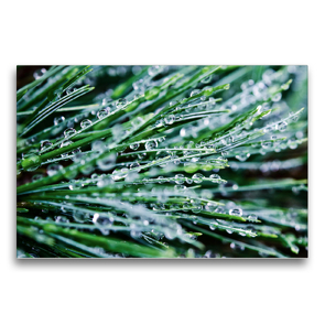 Premium Textil-Leinwand 75 x 50 cm Quer-Format Wasserperlen | Wandbild, HD-Bild auf Keilrahmen, Fertigbild auf hochwertigem Vlies, Leinwanddruck von Nina Schwarze