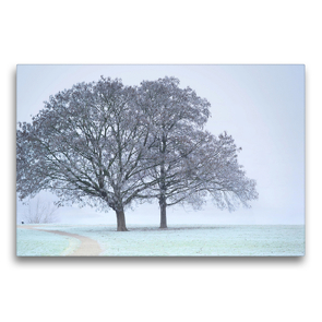 Premium Textil-Leinwand 75 x 50 cm Quer-Format Wintermorgen am Rhein. | Wandbild, HD-Bild auf Keilrahmen, Fertigbild auf hochwertigem Vlies, Leinwanddruck von Thomas Seethaler