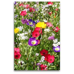 Premium Textil-Leinwand 80 x 120 cm Hoch-Format Bunte Blumenwiese | Wandbild, HD-Bild auf Keilrahmen, Fertigbild auf hochwertigem Vlies, Leinwanddruck von Gisela Kruse
