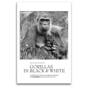 Premium Textil-Leinwand 80 x 120 cm Hoch-Format Emotionale Momente: Gorillas in black & white / CH-Version | Wandbild, HD-Bild auf Keilrahmen, Fertigbild auf hochwertigem Vlies, Leinwanddruck von Ingo Gerlach GDT