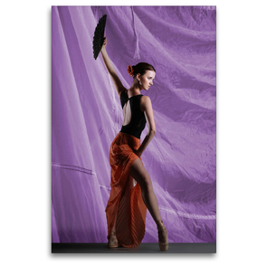 Premium Textil-Leinwand 80 x 120 cm Hoch-Format Iberisches Feuer | Wandbild, HD-Bild auf Keilrahmen, Fertigbild auf hochwertigem Vlies, Leinwanddruck von Harald Fischer