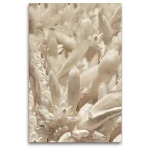 Premium Textil-Leinwand 80 x 120 cm Hoch-Format Milchquarz | Wandbild, HD-Bild auf Keilrahmen, Fertigbild auf hochwertigem Vlies, Leinwanddruck von Reinhard Sock