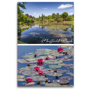 Premium Textil-Leinwand 80 x 120 cm Hoch-Format Sheffield Park and Garden in East Sussex, England | Wandbild, HD-Bild auf Keilrahmen, Fertigbild auf hochwertigem Vlies, Leinwanddruck von Christian Müringer