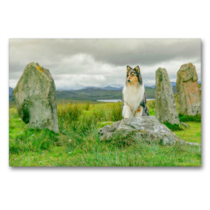 Premium Textil-Leinwand 90 x 60 cm Quer-Format An den Callanish Stones auf der Insel Lewis. | Wandbild, HD-Bild auf Keilrahmen, Fertigbild auf hochwertigem Vlies, Leinwanddruck von Julia Elling