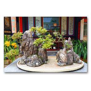 Premium Textil-Leinwand 90 x 60 cm Quer-Format Bonsai – alte chinesische Gartenkunst | Wandbild, HD-Bild auf Keilrahmen, Fertigbild auf hochwertigem Vlies, Leinwanddruck von Thomas Böhm