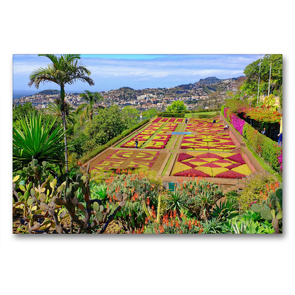 Premium Textil-Leinwand 90 x 60 cm Quer-Format Botanischer Garten | Wandbild, HD-Bild auf Keilrahmen, Fertigbild auf hochwertigem Vlies, Leinwanddruck von Klaus Lielischkies