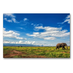 Premium Textil-Leinwand 90 x 60 cm Quer-Format Elefant in der Savanne | Wandbild, HD-Bild auf Keilrahmen, Fertigbild auf hochwertigem Vlies, Leinwanddruck von Michael Zech Fotografie