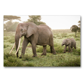 Premium Textil-Leinwand 90 x 60 cm Quer-Format Elefantenmutter und Elefantenbaby | Wandbild, HD-Bild auf Keilrahmen, Fertigbild auf hochwertigem Vlies, Leinwanddruck von Lebensfreude Innere Stärke