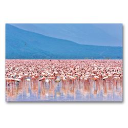 Premium Textil-Leinwand 90 x 60 cm Quer-Format Flamingos im Rift Valley | Wandbild, HD-Bild auf Keilrahmen, Fertigbild auf hochwertigem Vlies, Leinwanddruck von Jürgen Feuerer