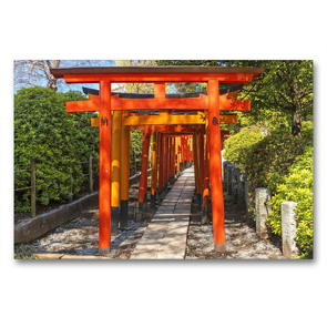 Premium Textil-Leinwand 90 x 60 cm Quer-Format Im Licht sind sie leuchtend Rot: Torii Tore. | Wandbild, HD-Bild auf Keilrahmen, Fertigbild auf hochwertigem Vlies, Leinwanddruck von CALVENDO