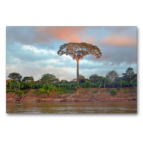 Premium Textil-Leinwand 90 x 60 cm Quer-Format Im Regenwald auf dem Rio Tambopata | Wandbild, HD-Bild auf Keilrahmen, Fertigbild auf hochwertigem Vlies, Leinwanddruck von Ulrich Senff