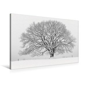 Premium Textil-Leinwand 90 x 60 cm Quer-Format Januar: Der Winter hält die Natur fest im Griff. | Wandbild, HD-Bild auf Keilrahmen, Fertigbild auf hochwertigem Vlies, Leinwanddruck von Ingo Gerlach GDT von Gerlach GDT,  Ingo