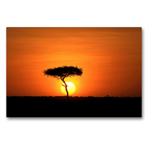 Premium Textil-Leinwand 90 x 60 cm Quer-Format Masai Mara NP | Wandbild, HD-Bild auf Keilrahmen, Fertigbild auf hochwertigem Vlies, Leinwanddruck von Michael Herzog