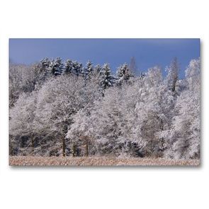 Premium Textil-Leinwand 90 x 60 cm Quer-Format Mischwald im Winter | Wandbild, HD-Bild auf Keilrahmen, Fertigbild auf hochwertigem Vlies, Leinwanddruck von kattobello