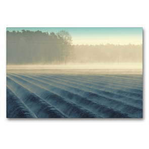 Premium Textil-Leinwand 90 x 60 cm Quer-Format Nebelmorgen über dem Spargelfeld von Tanja Riedel | Wandbild, HD-Bild auf Keilrahmen, Fertigbild auf hochwertigem Vlies, Leinwanddruck von N N