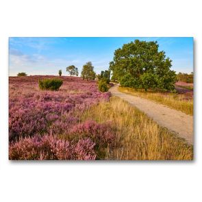 Premium Textil-Leinwand 90 x 60 cm Quer-Format Niedersachsens Natur | Wandbild, HD-Bild auf Keilrahmen, Fertigbild auf hochwertigem Vlies, Leinwanddruck von Olaf Jürgens