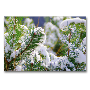 Premium Textil-Leinwand 90 x 60 cm Quer-Format Perpetual winter Dreams by Tanja Riedel | Wandbild, HD-Bild auf Keilrahmen, Fertigbild auf hochwertigem Vlies, Leinwanddruck von N N