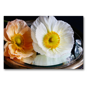 Premium Textil-Leinwand 90 x 60 cm Quer-Format Prachtvolle Mohnblüten auf altem Spiegel | Wandbild, HD-Bild auf Keilrahmen, Fertigbild auf hochwertigem Vlies, Leinwanddruck von Gisela Kruse