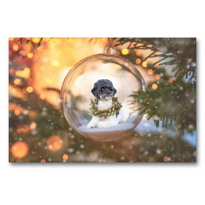 Premium Textil-Leinwand 90 x 60 cm Quer-Format Pudel Weihnachten | Wandbild, HD-Bild auf Keilrahmen, Fertigbild auf hochwertigem Vlies, Leinwanddruck von Sabine Böke-Bergau