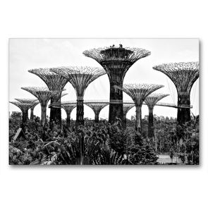 Premium Textil-Leinwand 90 x 60 cm Quer-Format Supertrees in Gardens by the Bay | Wandbild, HD-Bild auf Keilrahmen, Fertigbild auf hochwertigem Vlies, Leinwanddruck von Ralf Wittstock