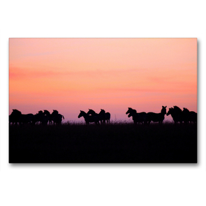 Premium Textil-Leinwand 90 x 60 cm Quer-Format Traumlandschaften Kenia | Wandbild, HD-Bild auf Keilrahmen, Fertigbild auf hochwertigem Vlies, Leinwanddruck von Michael Herzog